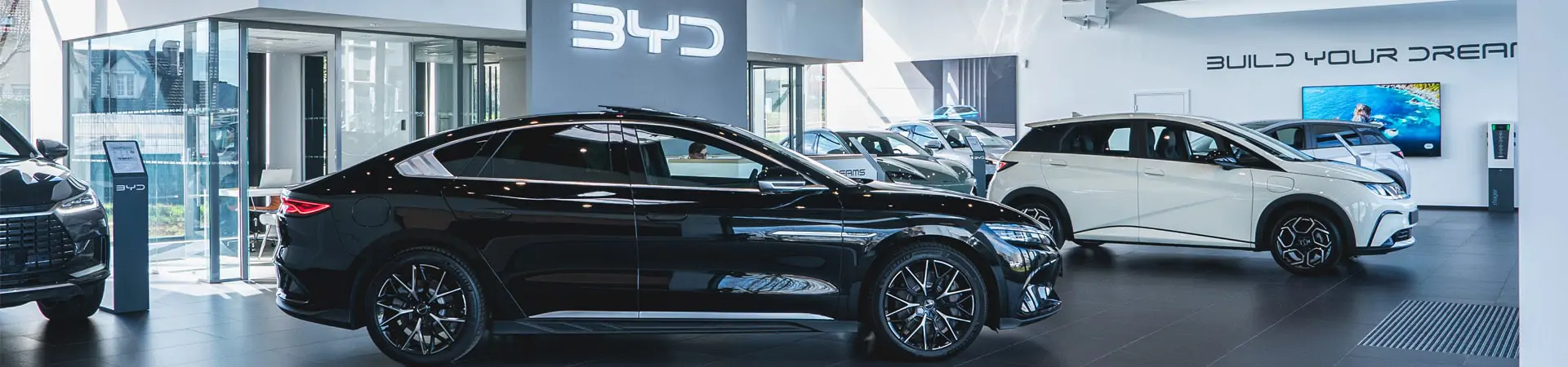 Concession BYD de Nancy