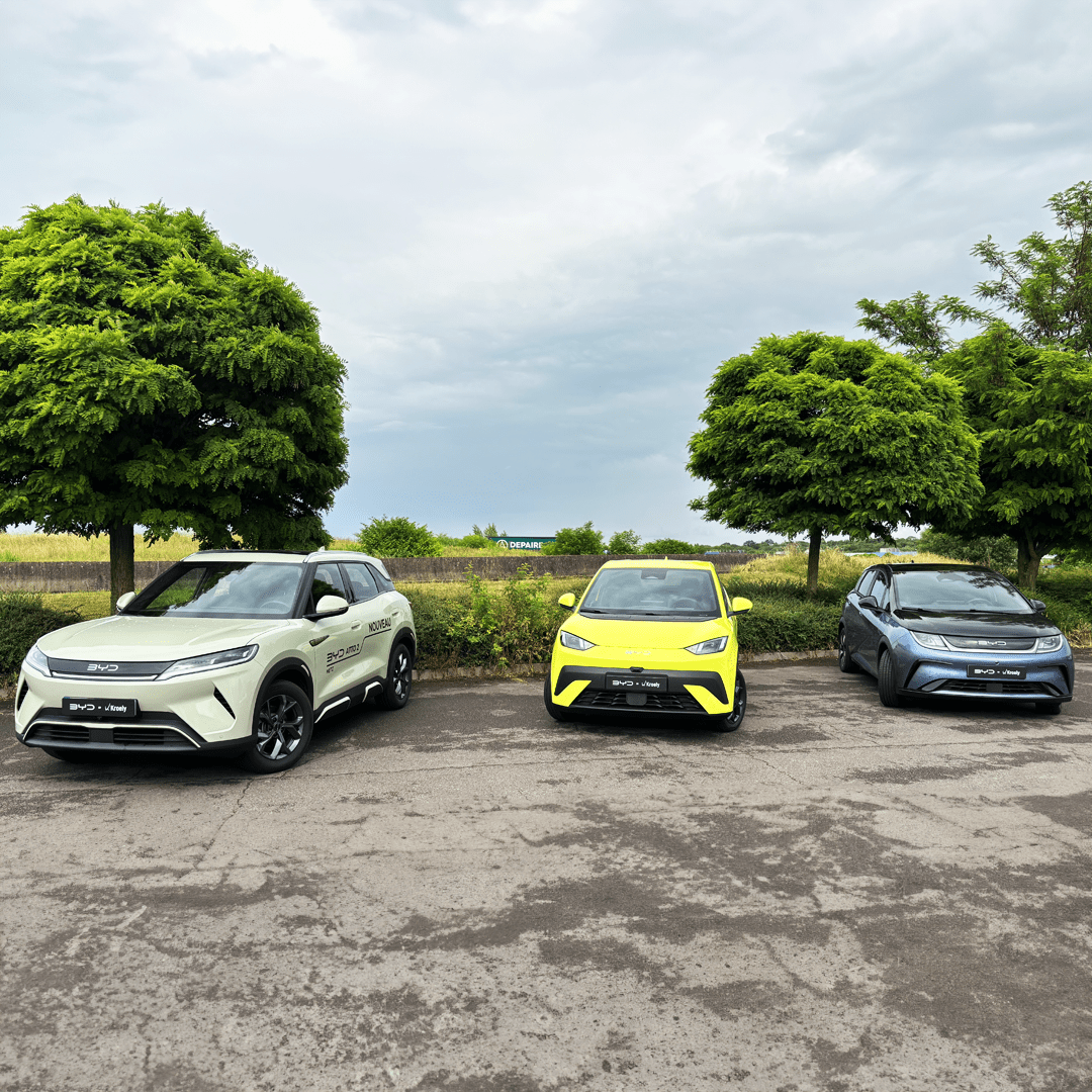 Image d'ATTO2, DOLPHIN & DOLPHIN SURF