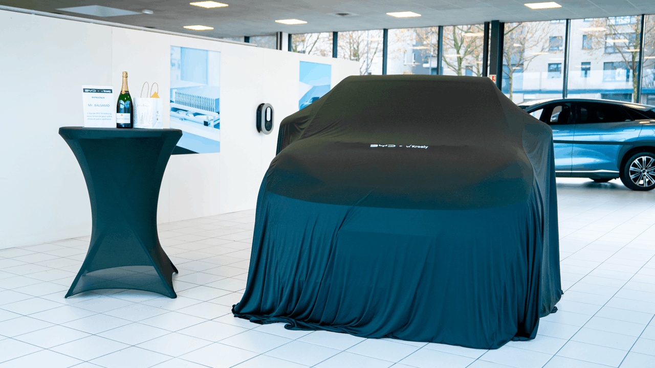 Dolphin Surf sous un drap